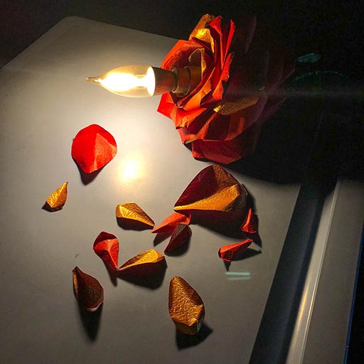 Then There Was Light-08 512